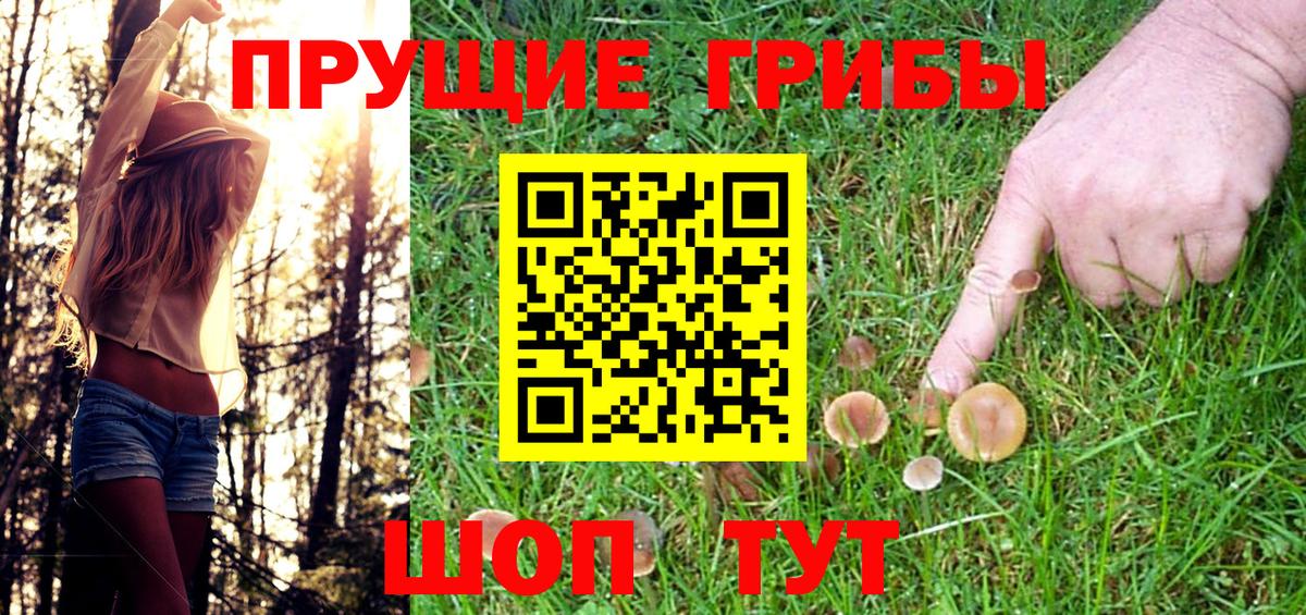 Псилоцибиновые грибы прущие грибы  Галлюциногенные грибы Psilocybe  Минусинск  Вход с VPN 